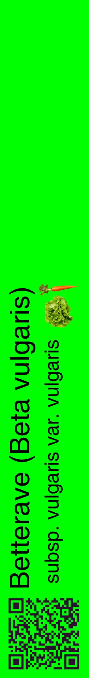 Étiquette de : Beta vulgaris subsp. vulgaris var. vulgaris - format c - style noire16_basiquehel avec qrcode et comestibilité simplifiée