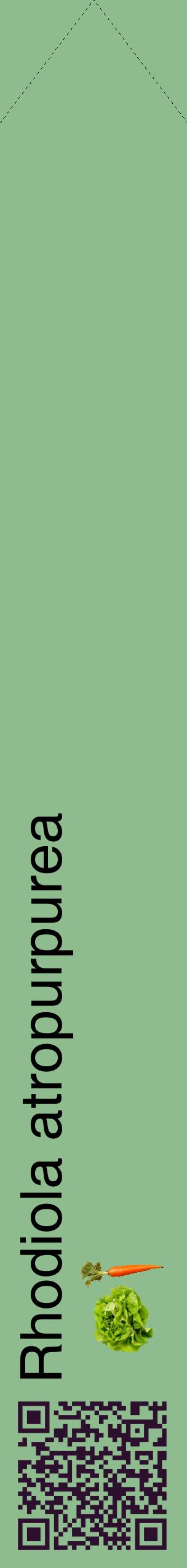 Étiquette de : Rhodiola atropurpurea - format c - style noire13_simplehel avec qrcode et comestibilité simplifiée