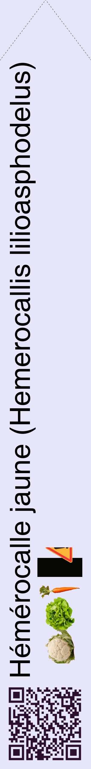 Étiquette de : Hemerocallis lilioasphodelus - format c - style noire55_simplehel avec qrcode et comestibilité simplifiée
