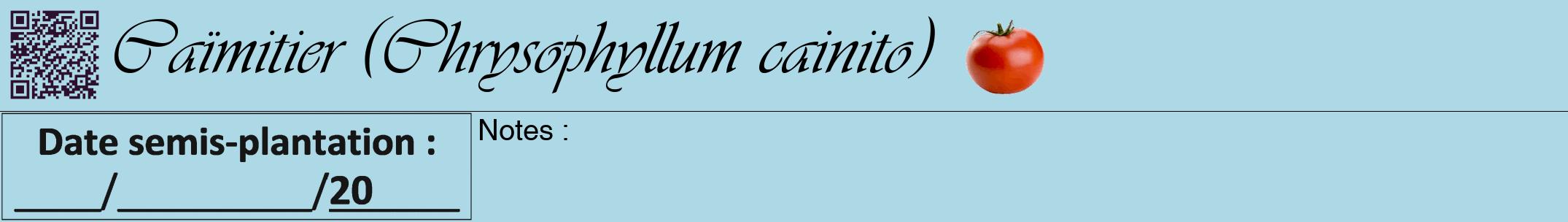 Étiquette de : Chrysophyllum cainito - format a - style noire0viv avec qrcode et comestibilité simplifiée