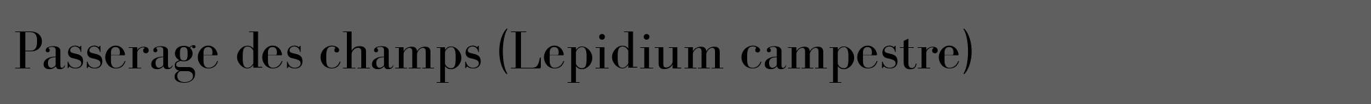 Étiquette de : Lepidium campestre - format a - style noire10bod avec comestibilité