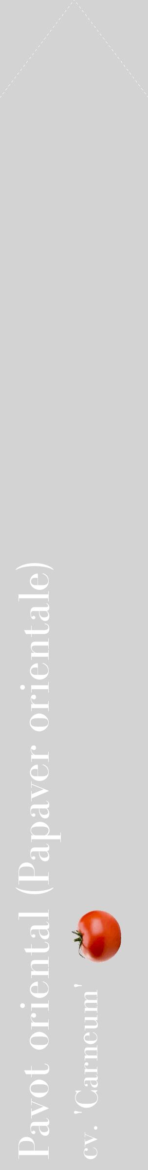 Étiquette de : Papaver orientale cv. 'Carneum' - format c - style blanche56_simplebod avec comestibilité simplifiée