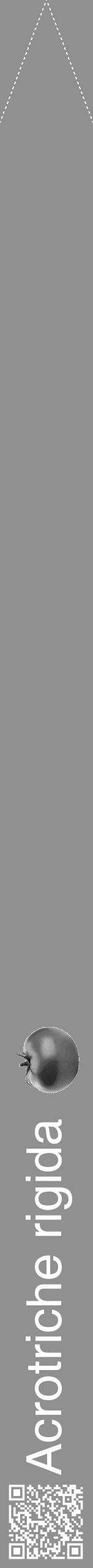 Étiquette de : Acrotriche rigida - format b - style blanche4hel avec qrcode et comestibilité simplifiée - position verticale