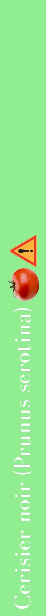 Étiquette de : Prunus serotina - format a - style blanche15bod avec comestibilité simplifiée