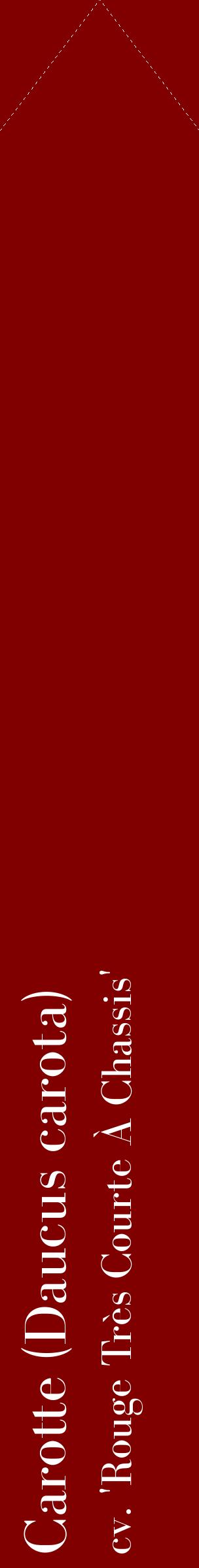 Étiquette de : Daucus carota cv. 'Rouge Très Courte À Chassis' - format c - style blanche29_simplebod avec comestibilité