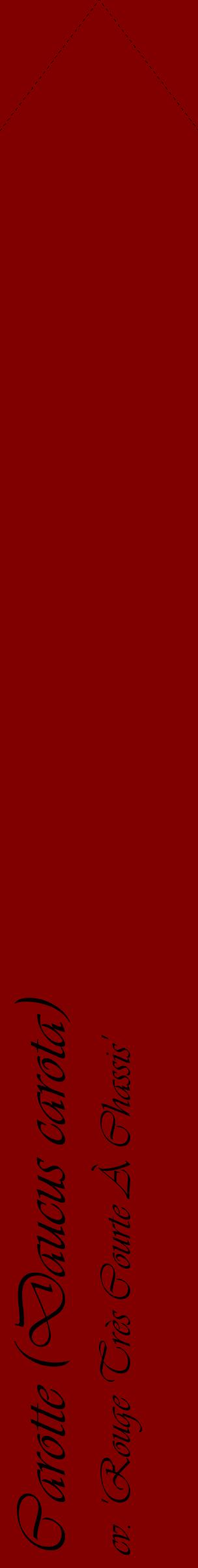 Étiquette de : Daucus carota cv. 'Rouge Très Courte À Chassis' - format c - style noire29_simpleviv avec comestibilité