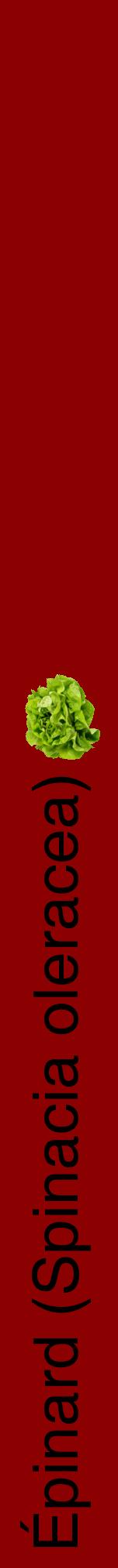 Étiquette de : Spinacia oleracea - format a - style noire34hel avec comestibilité simplifiée