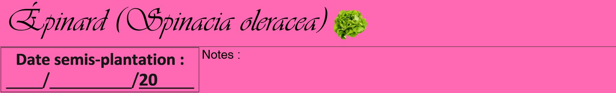 Étiquette de : Spinacia oleracea - format a - style noire42viv avec comestibilité simplifiée