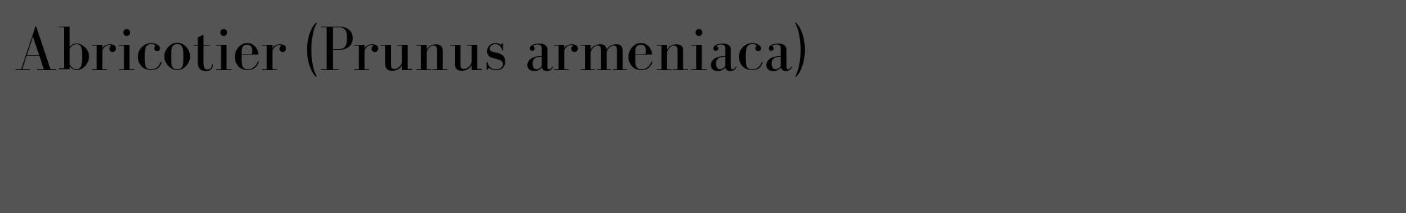 Étiquette de : Prunus armeniaca - format c - style noire30_basique_basiquebod avec comestibilité