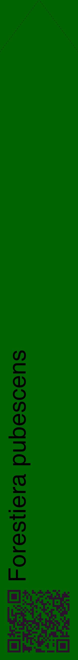 Étiquette de : Forestiera pubescens - format c - style noire8_simplehel avec qrcode et comestibilité