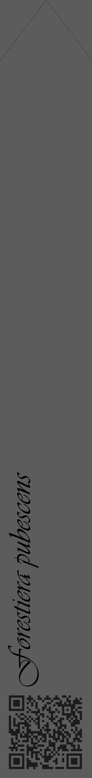 Étiquette de : Forestiera pubescens - format c - style noire49_simple_simpleviv avec qrcode et comestibilité - position verticale