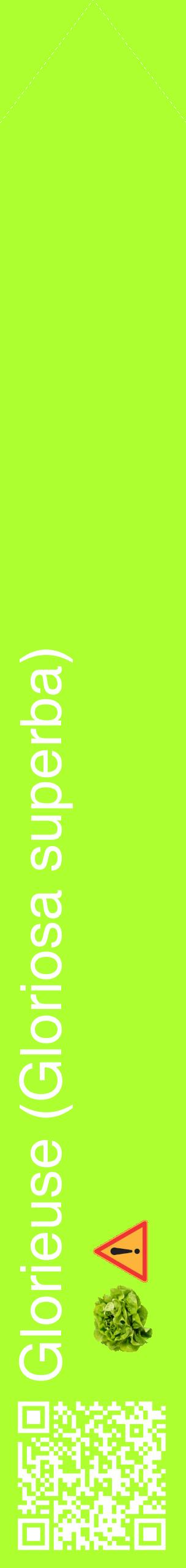 Étiquette de : Gloriosa superba - format c - style blanche17_simplehel avec qrcode et comestibilité simplifiée