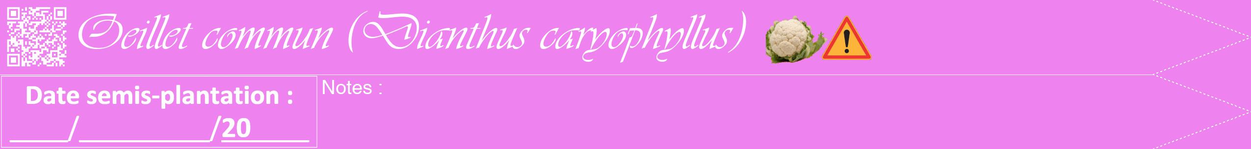 Étiquette de : Dianthus caryophyllus - format b - style blanche53viv avec qrcode et comestibilité simplifiée