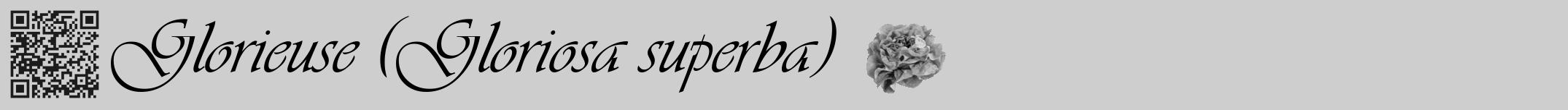 Étiquette de : Gloriosa superba - format a - style noire17viv avec qrcode et comestibilité simplifiée