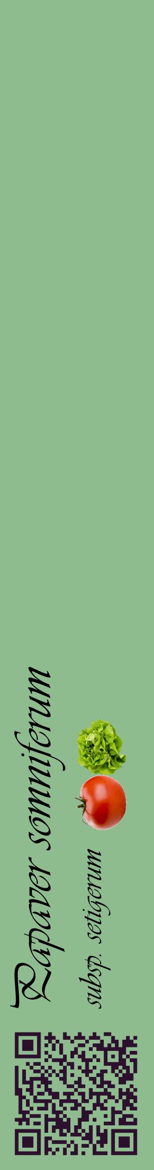 Étiquette de : Papaver somniferum subsp. setigerum - format c - style noire13_basiqueviv avec qrcode et comestibilité simplifiée