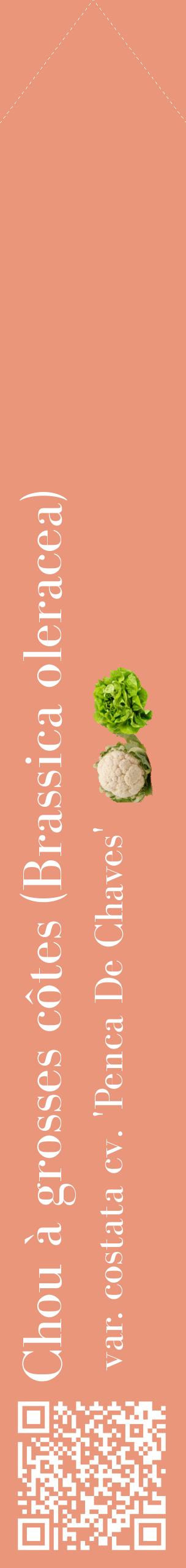 Étiquette de : Brassica oleracea var. costata cv. 'Penca De Chaves' - format c - style blanche37_simplebod avec qrcode et comestibilité simplifiée