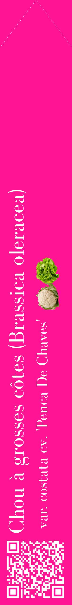 Étiquette de : Brassica oleracea var. costata cv. 'Penca De Chaves' - format c - style blanche43_simplebod avec qrcode et comestibilité simplifiée