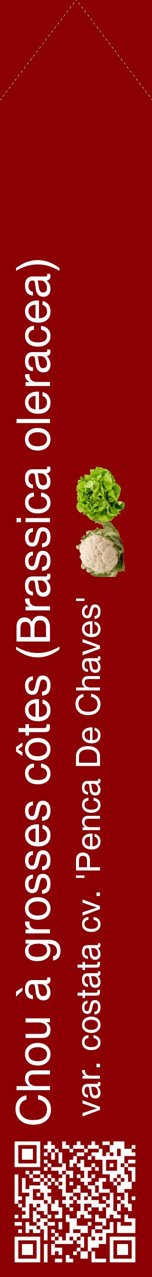 Étiquette de : Brassica oleracea var. costata cv. 'Penca De Chaves' - format c - style blanche34_simplehel avec qrcode et comestibilité simplifiée