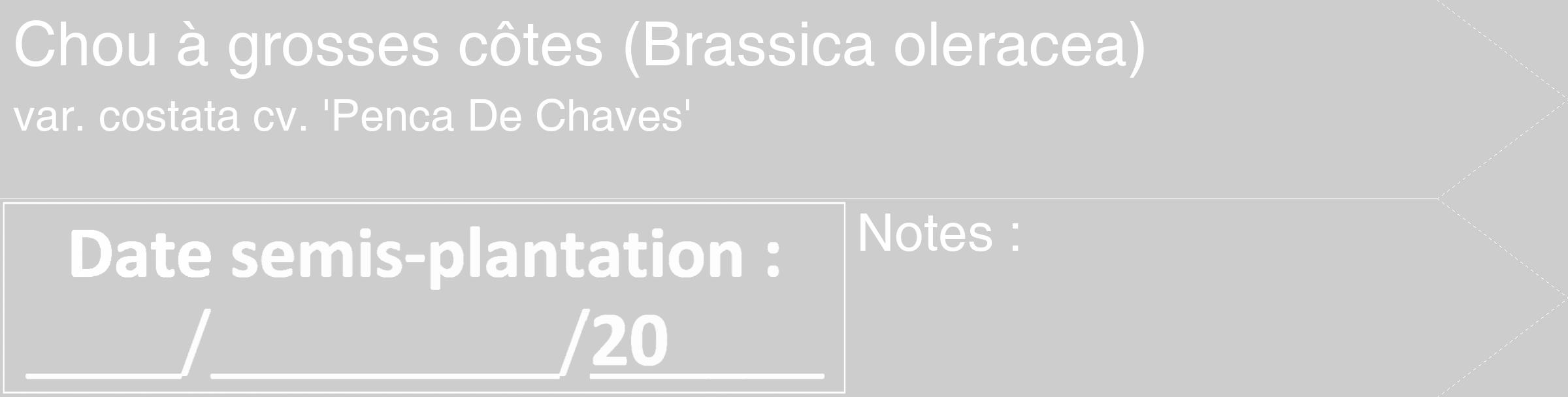 Étiquette de : Brassica oleracea var. costata cv. 'Penca De Chaves' - format c - style blanche41_simple_simplehel avec comestibilité