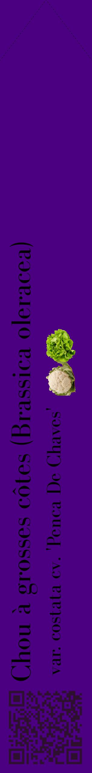 Étiquette de : Brassica oleracea var. costata cv. 'Penca De Chaves' - format c - style noire47_simplebod avec qrcode et comestibilité simplifiée