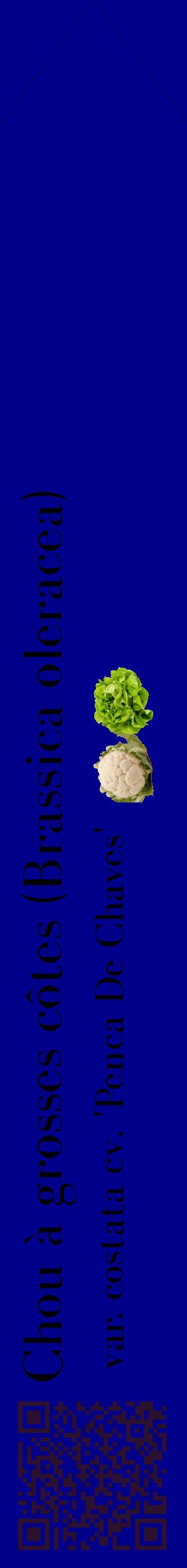 Étiquette de : Brassica oleracea var. costata cv. 'Penca De Chaves' - format c - style noire7_simplebod avec qrcode et comestibilité simplifiée