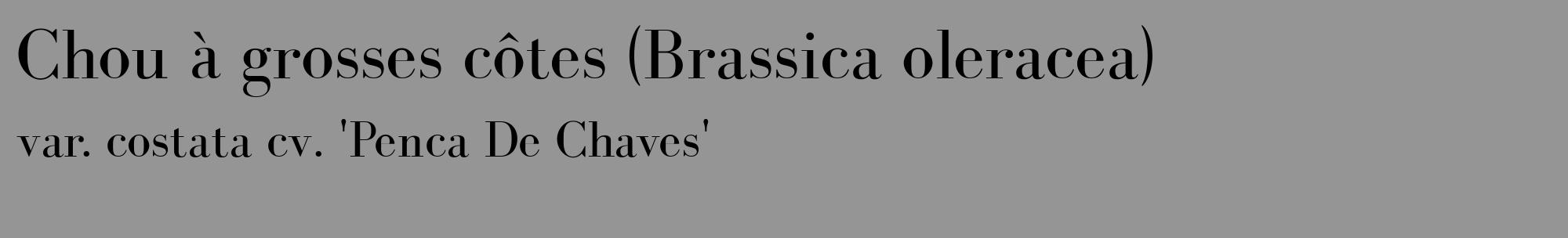 Étiquette de : Brassica oleracea var. costata cv. 'Penca De Chaves' - format c - style noire16_basique_basiquebod avec comestibilité