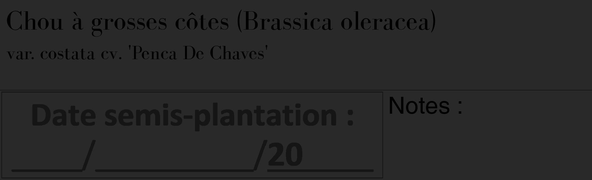 Étiquette de : Brassica oleracea var. costata cv. 'Penca De Chaves' - format c - style noire34_basique_basiquebod avec comestibilité