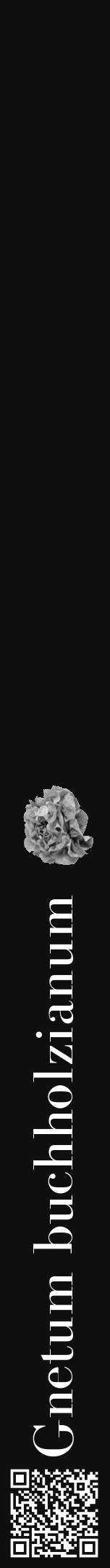 Étiquette de : Gnetum buchholzianum - format a - style blanche7bod avec qrcode et comestibilité simplifiée - position verticale