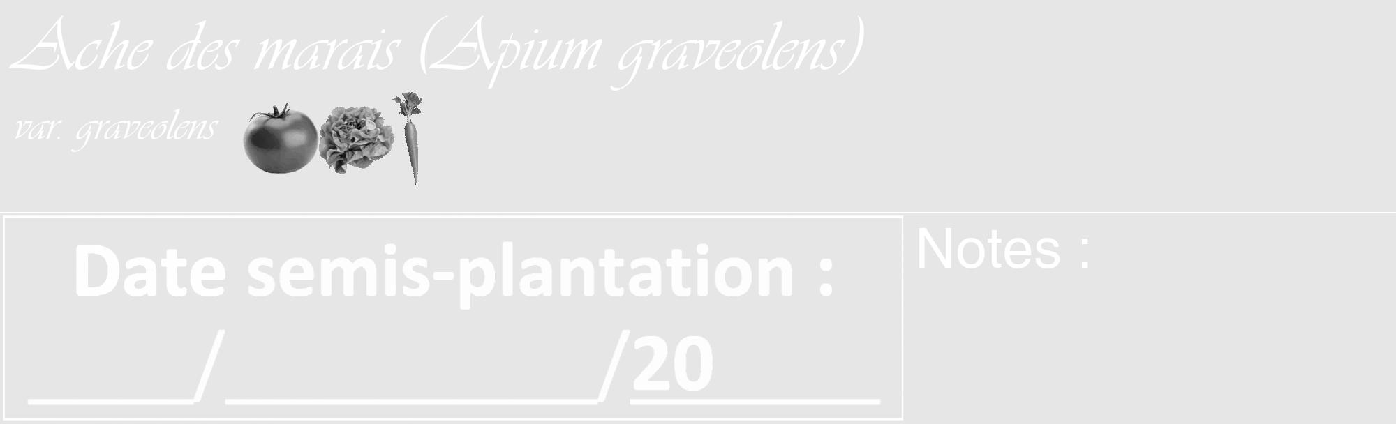 Étiquette de : Apium graveolens var. graveolens - format c - style blanche18_basique_basiqueviv avec comestibilité simplifiée