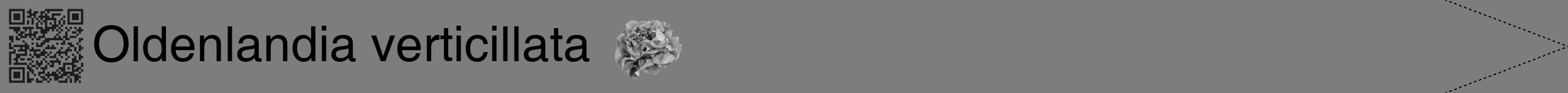 Étiquette de : Oldenlandia verticillata - format b - style noire35hel avec qrcode et comestibilité simplifiée