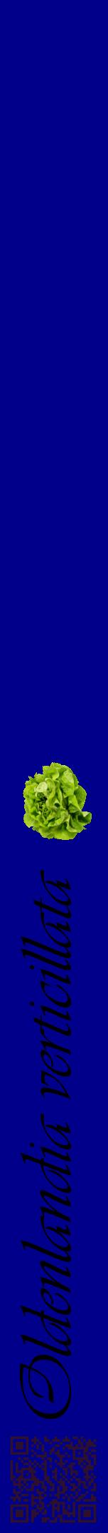 Étiquette de : Oldenlandia verticillata - format a - style noire7viv avec qrcode et comestibilité simplifiée