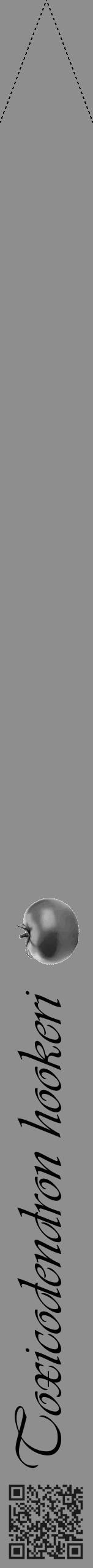 Étiquette de : Toxicodendron hookeri - format b - style noire25viv avec qrcode et comestibilité simplifiée - position verticale