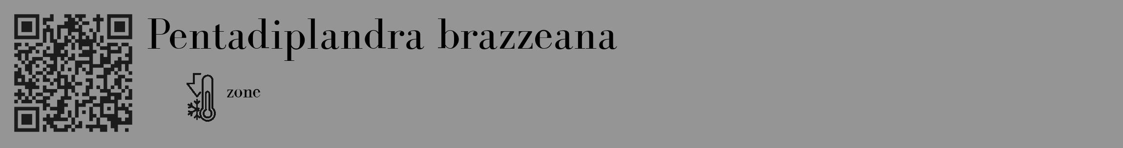 Étiquette de : Pentadiplandra brazzeana - format c - style noire16_basique_basiquebod avec qrcode et comestibilité