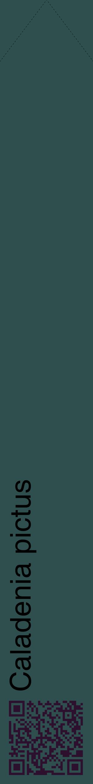 Étiquette de : Caladenia pictus - format c - style noire58_simplehel avec qrcode et comestibilité