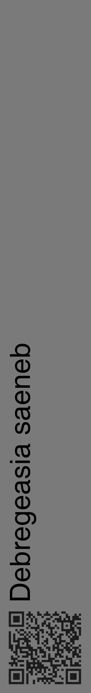 Étiquette de : Debregeasia saeneb - format c - style noire3_basique_basiquehel avec qrcode et comestibilité - position verticale