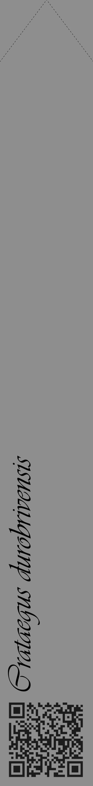 Étiquette de : Crataegus durobrivensis - format c - style noire25_simple_simpleviv avec qrcode et comestibilité - position verticale