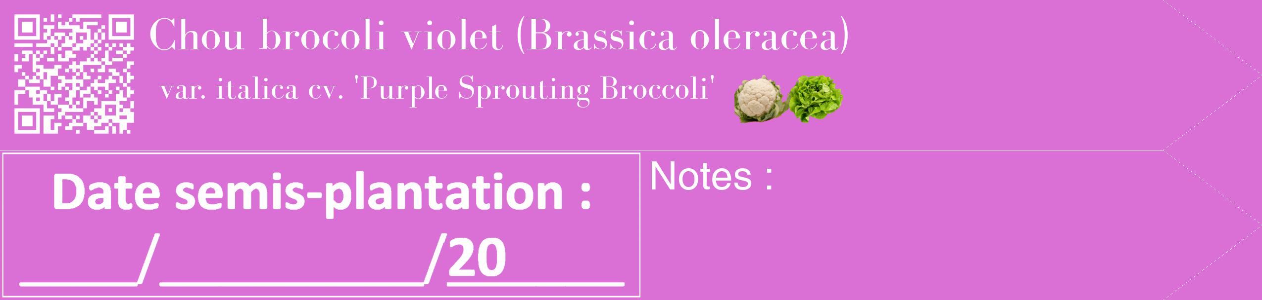 Étiquette de : Brassica oleracea var. italica cv. 'Purple Sprouting Broccoli' - format c - style blanche52_simple_simplebod avec qrcode et comestibilité simplifiée