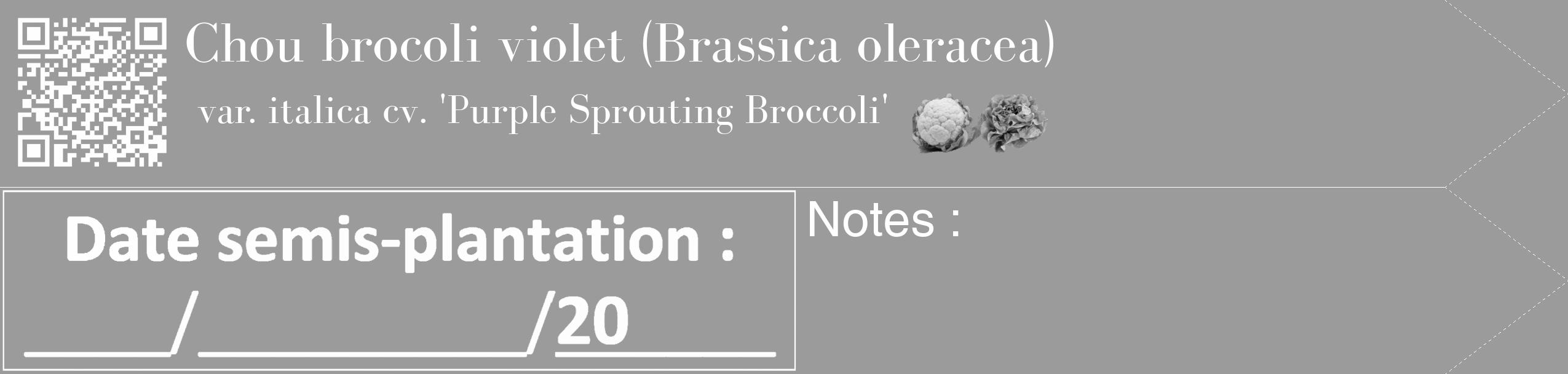 Étiquette de : Brassica oleracea var. italica cv. 'Purple Sprouting Broccoli' - format c - style blanche52_simple_simplebod avec qrcode et comestibilité simplifiée