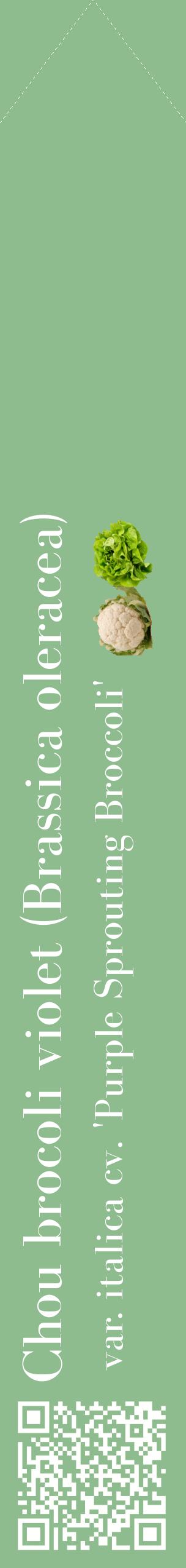 Étiquette de : Brassica oleracea var. italica cv. 'Purple Sprouting Broccoli' - format c - style blanche13_simplebod avec qrcode et comestibilité simplifiée