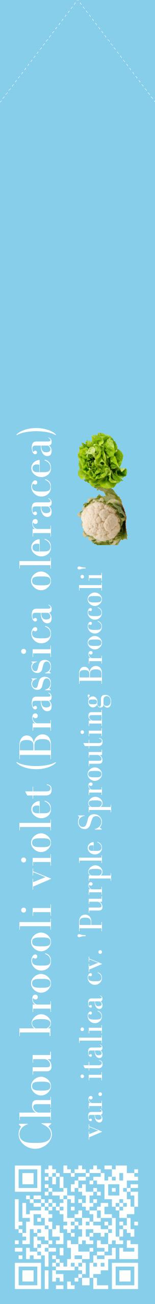 Étiquette de : Brassica oleracea var. italica cv. 'Purple Sprouting Broccoli' - format c - style blanche1_simplebod avec qrcode et comestibilité simplifiée