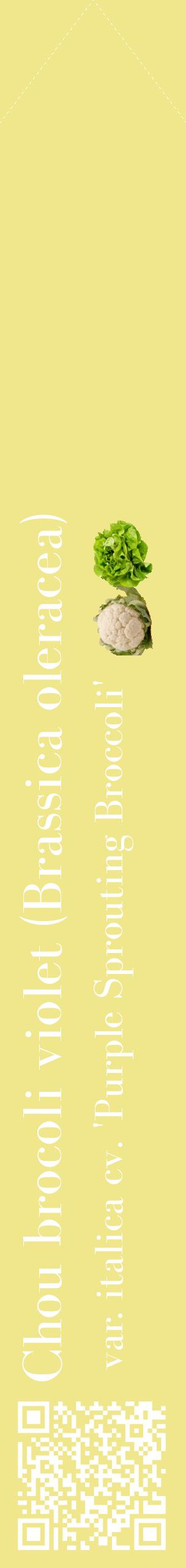 Étiquette de : Brassica oleracea var. italica cv. 'Purple Sprouting Broccoli' - format c - style blanche20_simplebod avec qrcode et comestibilité simplifiée