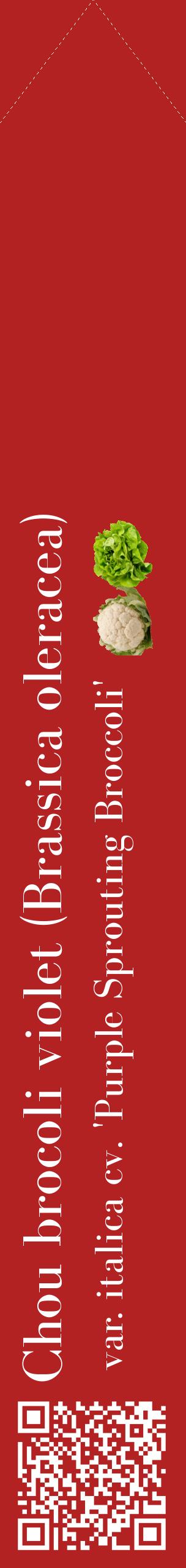 Étiquette de : Brassica oleracea var. italica cv. 'Purple Sprouting Broccoli' - format c - style blanche28_simplebod avec qrcode et comestibilité simplifiée