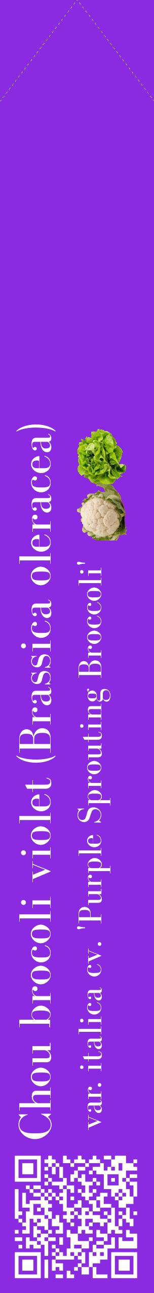 Étiquette de : Brassica oleracea var. italica cv. 'Purple Sprouting Broccoli' - format c - style blanche49_simplebod avec qrcode et comestibilité simplifiée