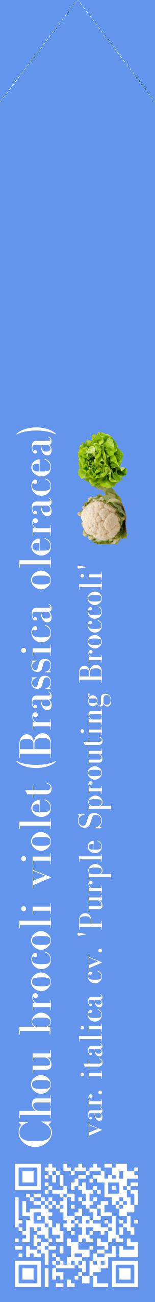 Étiquette de : Brassica oleracea var. italica cv. 'Purple Sprouting Broccoli' - format c - style blanche4_simplebod avec qrcode et comestibilité simplifiée