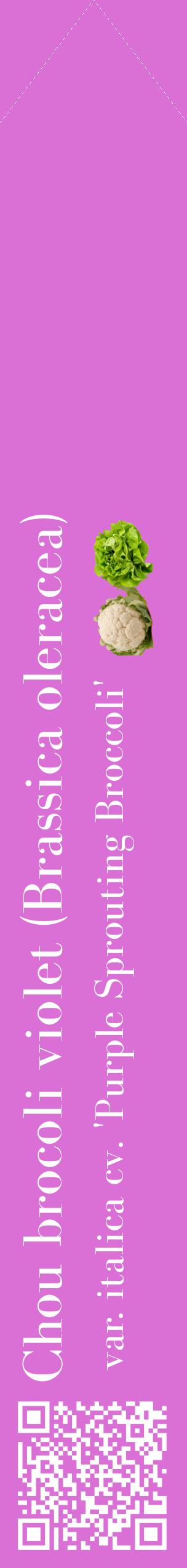 Étiquette de : Brassica oleracea var. italica cv. 'Purple Sprouting Broccoli' - format c - style blanche52_simplebod avec qrcode et comestibilité simplifiée