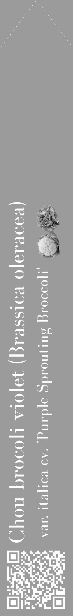 Étiquette de : Brassica oleracea var. italica cv. 'Purple Sprouting Broccoli' - format c - style blanche52_simple_simplebod avec qrcode et comestibilité simplifiée - position verticale