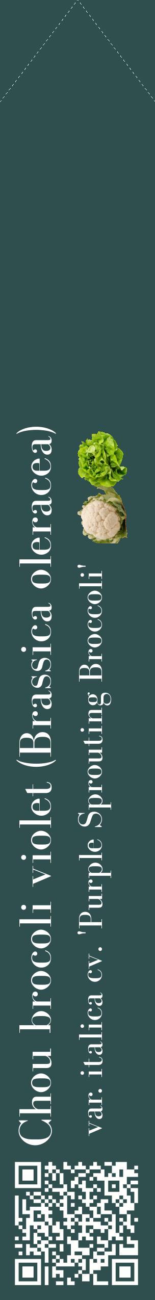 Étiquette de : Brassica oleracea var. italica cv. 'Purple Sprouting Broccoli' - format c - style blanche58_simplebod avec qrcode et comestibilité simplifiée