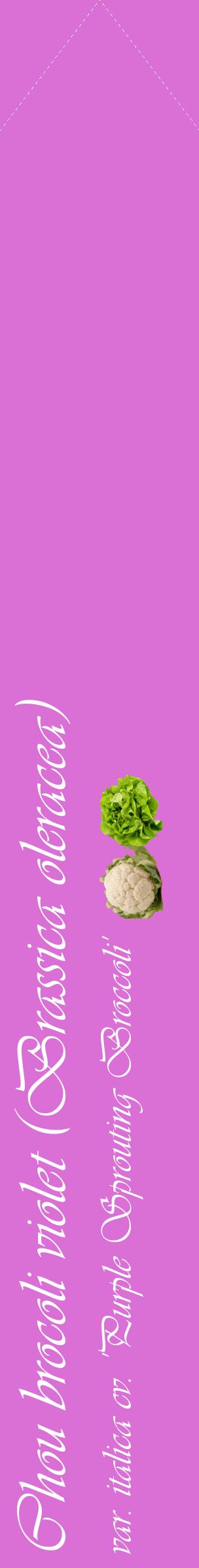 Étiquette de : Brassica oleracea var. italica cv. 'Purple Sprouting Broccoli' - format c - style blanche52_simpleviv avec comestibilité simplifiée