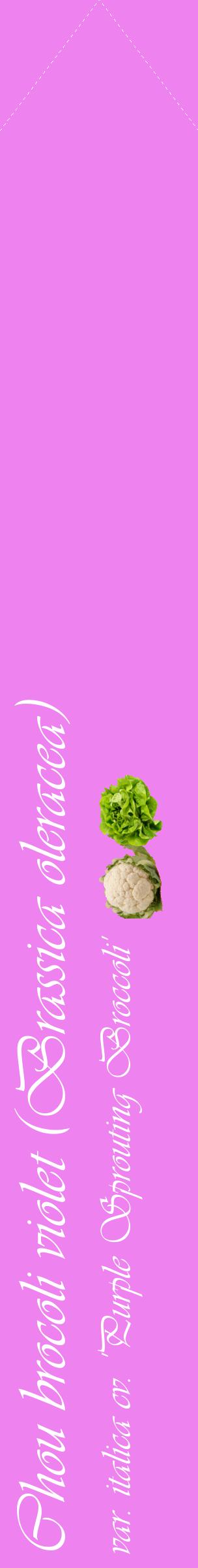 Étiquette de : Brassica oleracea var. italica cv. 'Purple Sprouting Broccoli' - format c - style blanche53_simpleviv avec comestibilité simplifiée