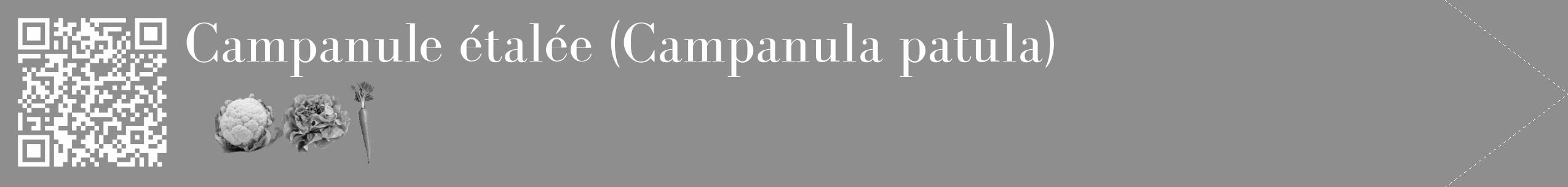 Étiquette de : Campanula patula - format c - style blanche25_simple_simplebod avec qrcode et comestibilité simplifiée